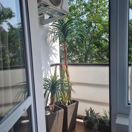Apartman-Florianska Кошице Экстерьер фото